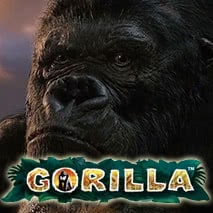 Игровой слот Gorilla без регистрации